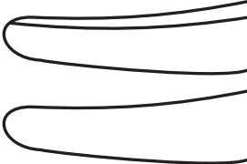 Kratz Lens Holding Forceps